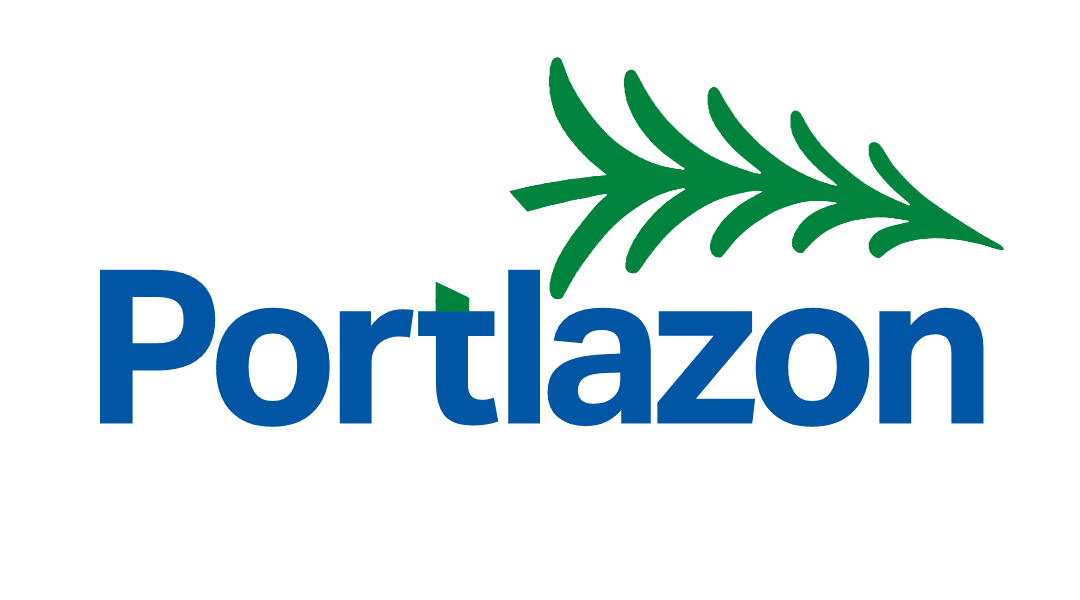 Cover image for Introducing Portlazon