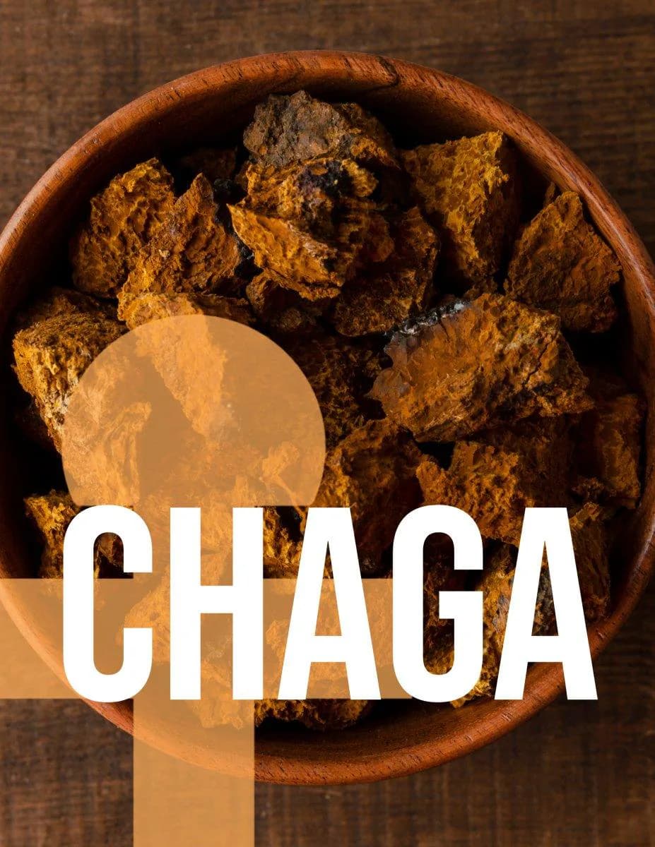 Chaga Extract - Antioxidants - Liquid Double Extract image 3